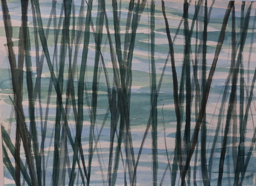 Plitvicemeer riet