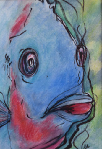 Vissekop blauw rood