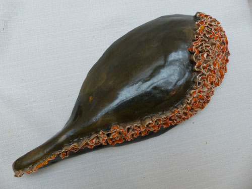 Zeeobject olijf-oranje